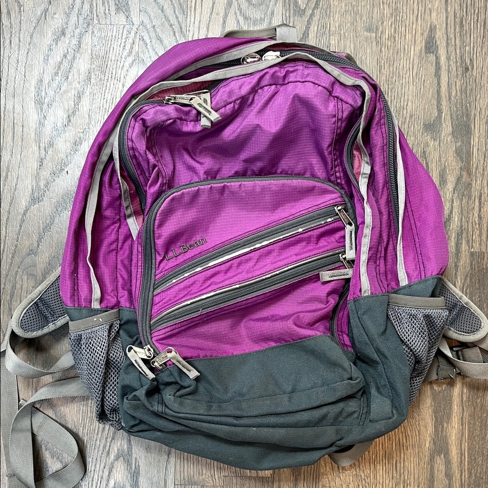 L.L. Bean Men's Backpack in Purple and Black